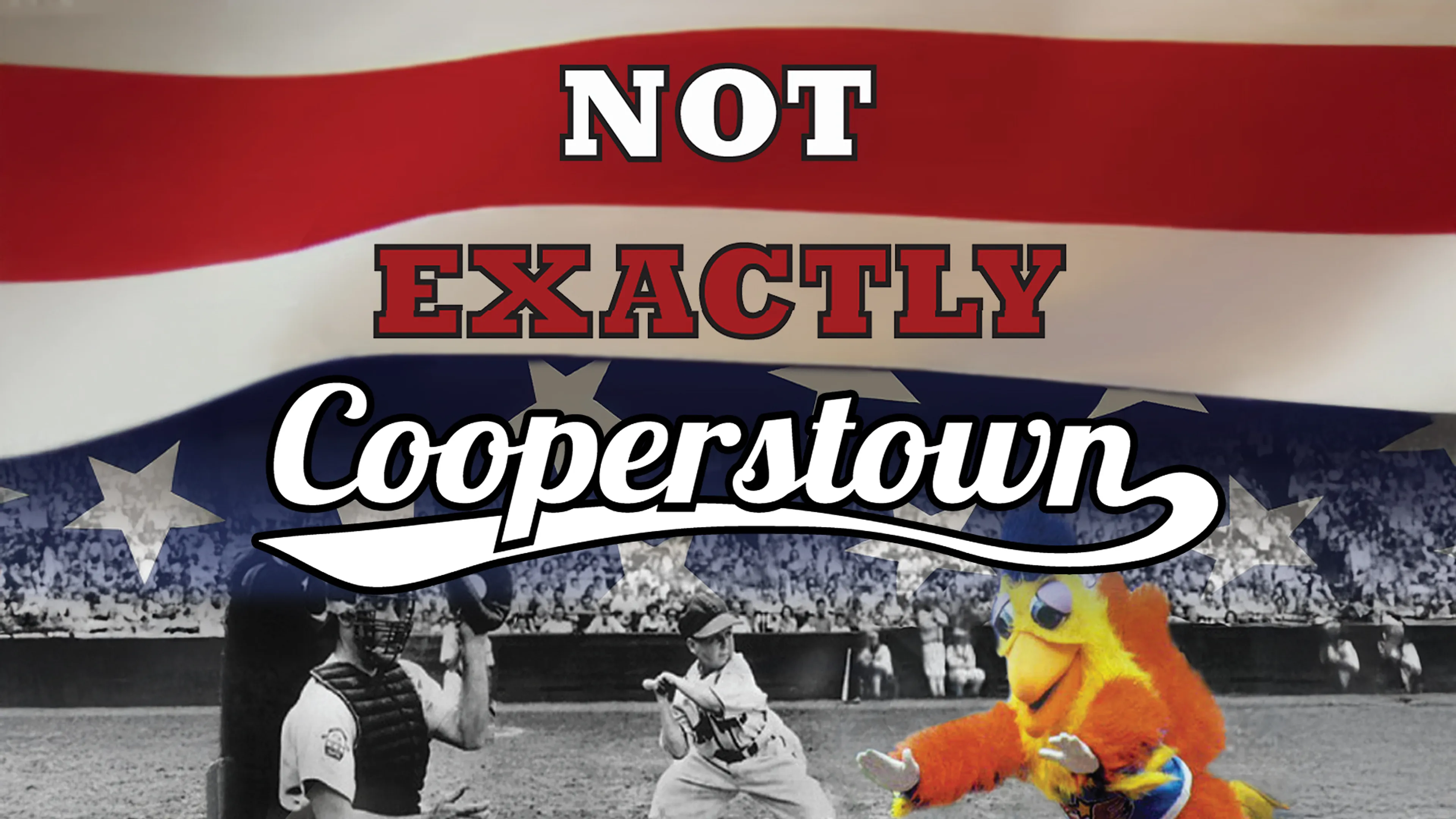 Not Exactly Cooperstown poster
